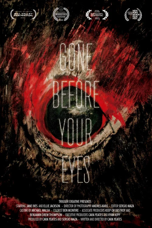 Gone Before Your Eyes постер