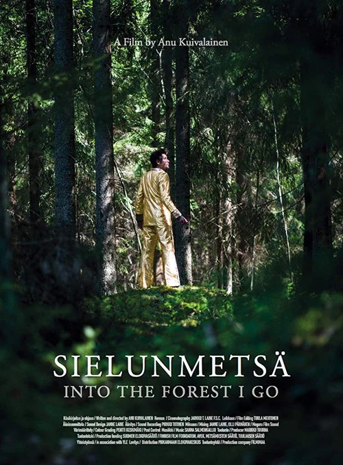Sielunmetsä постер