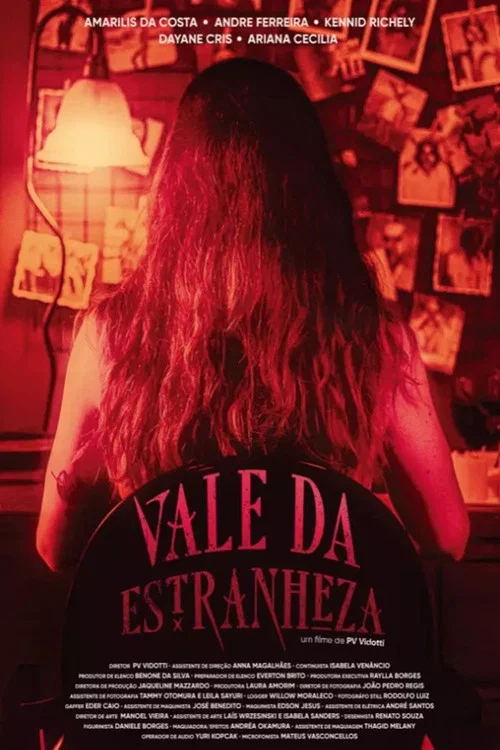 Vale da Estranheza постер