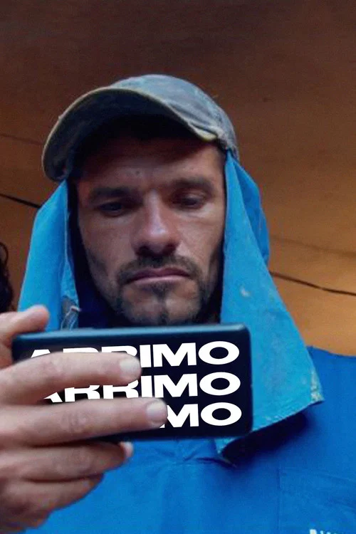 Arrimo постер