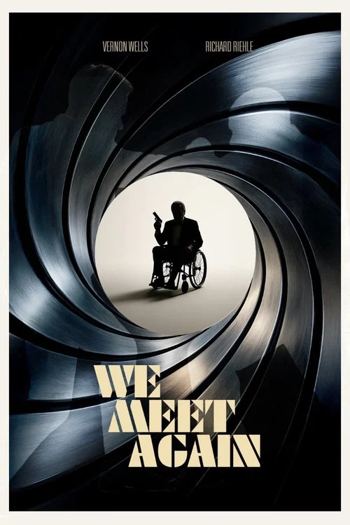 We Meet Again постер