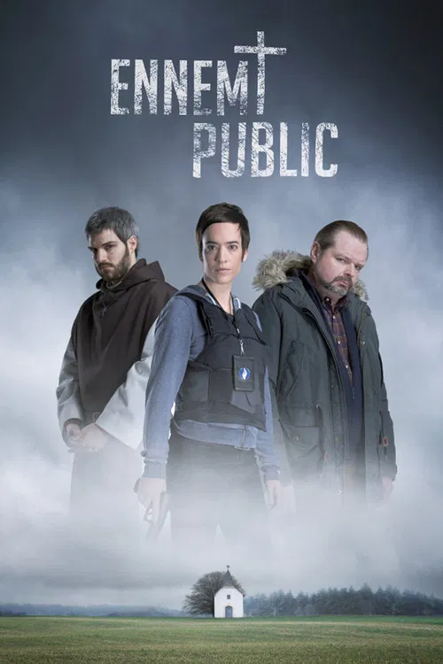 Ennemi public постер
