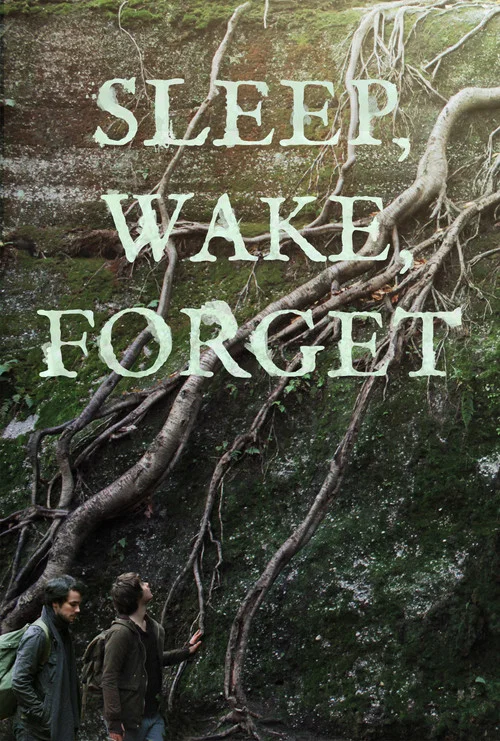 Sleep, Wake, Forget постер
