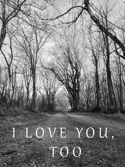 I Love You, Too постер