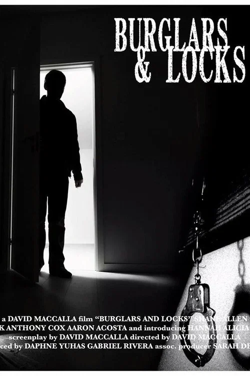 Burglars & Locks постер