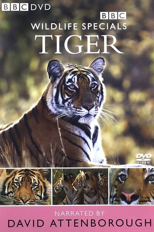 Tiger: The Elusive Princess постер