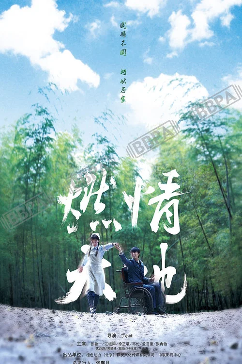 燃情大地 постер
