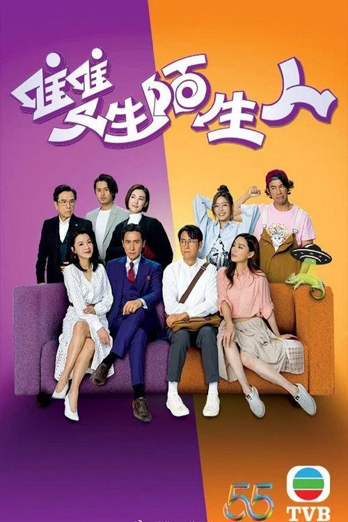 雙生陌生人 постер