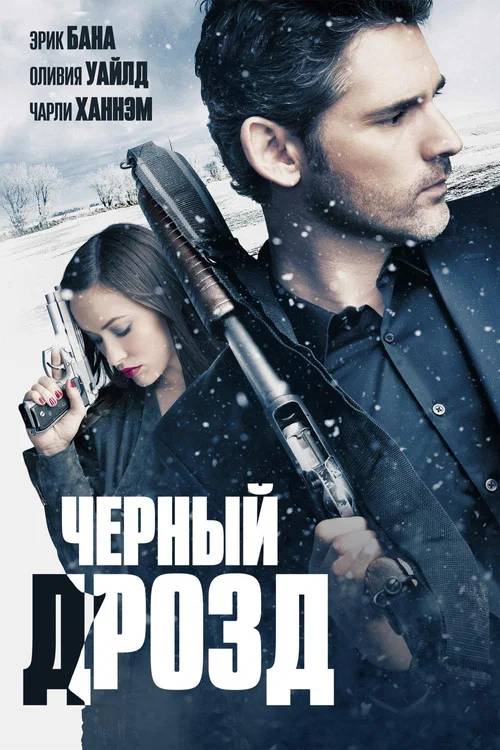 Чёрный дрозд постер