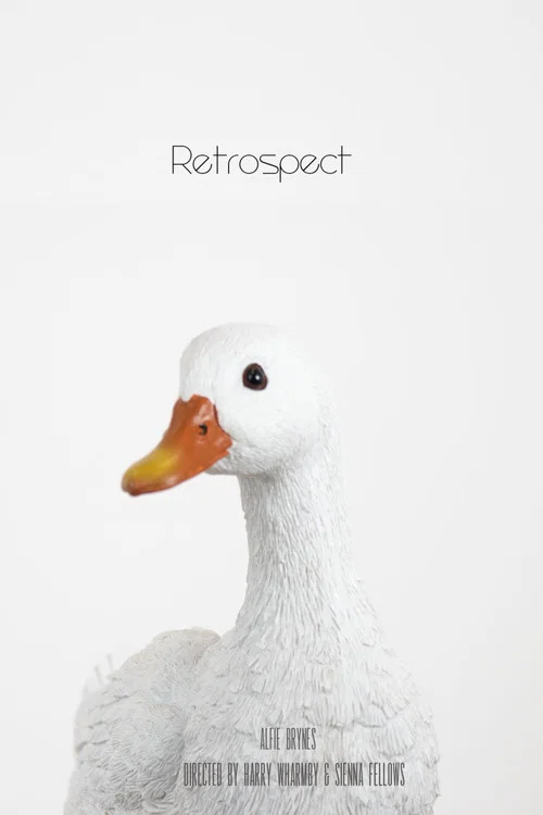 Retrospect постер