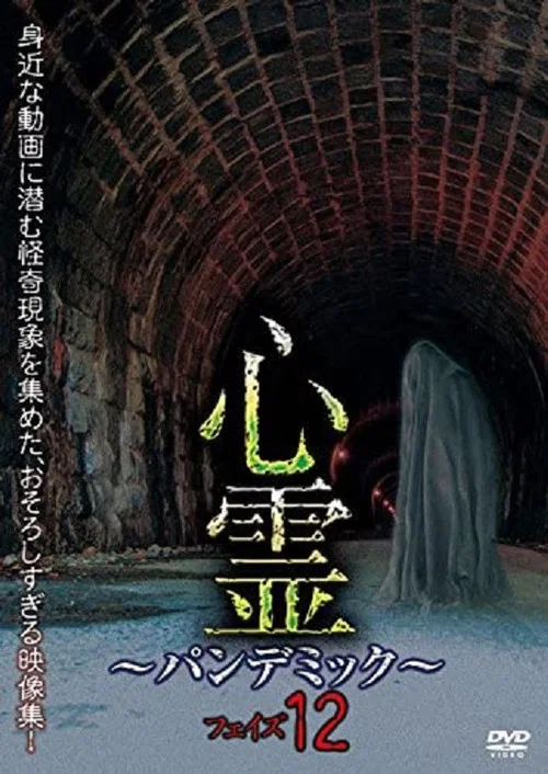 心霊　～パンデミック～　フェイズ12 постер