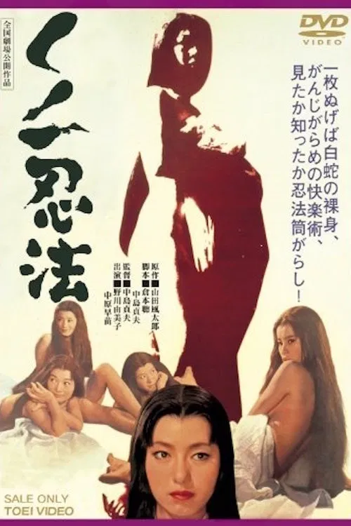 くノ一忍法 постер