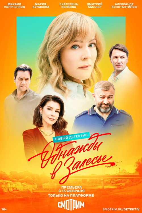 Однажды в Залесье постер