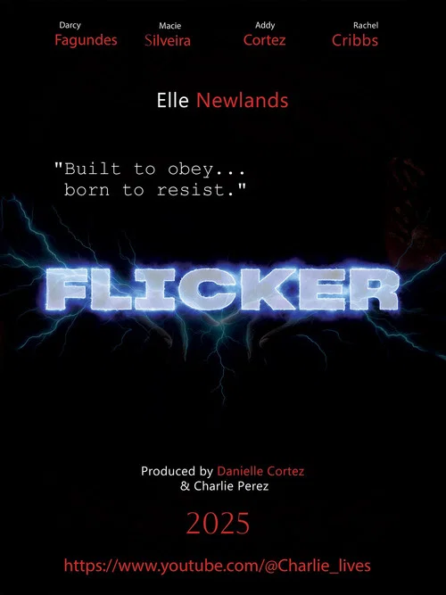 Flicker постер