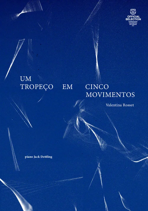 Um tropeço em cinco movimentos постер
