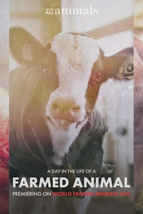 A Day in the Life of a Farmed Animal постер