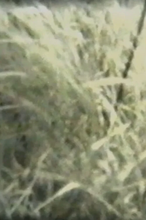 Grass постер