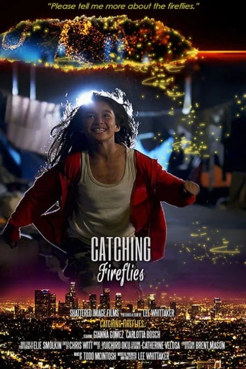Catching Fireflies постер