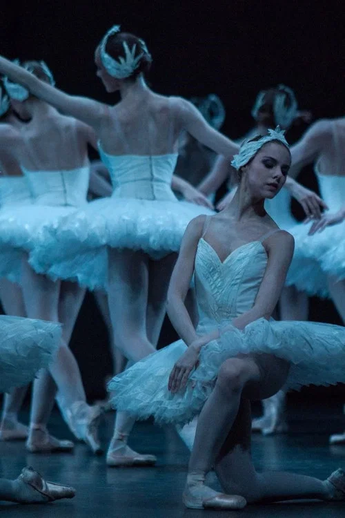 Swan Lake - The Australian Ballet постер