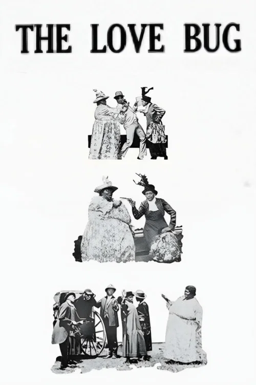 The Love Bug постер