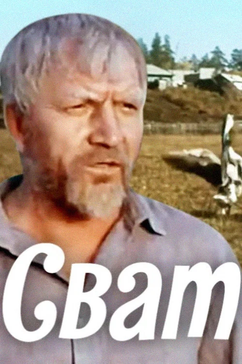 Сват постер