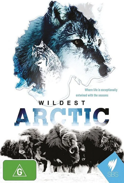 Wildest Arctic постер