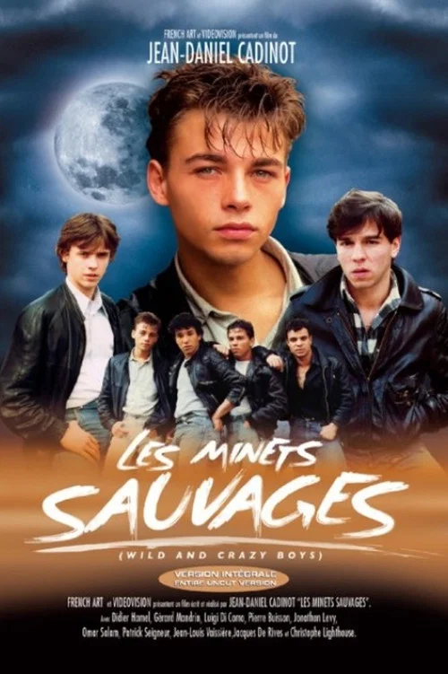 Les minets ... sauvages постер