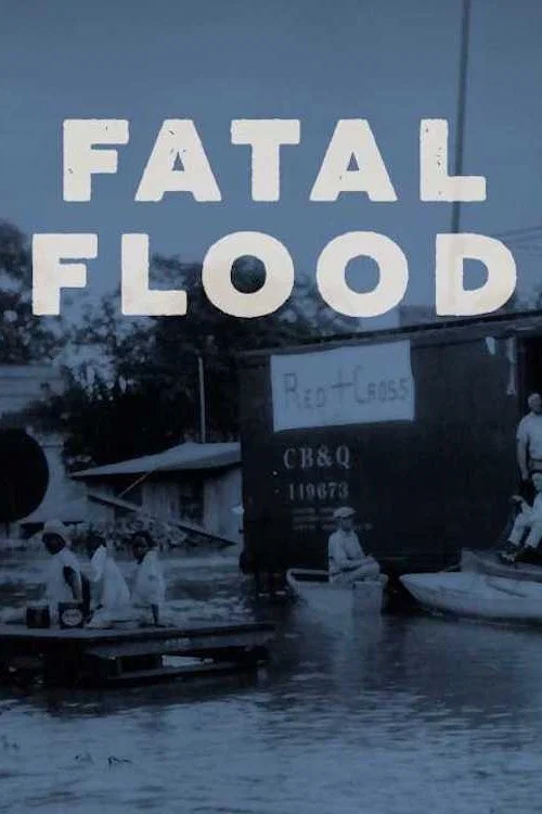 Fatal Flood постер