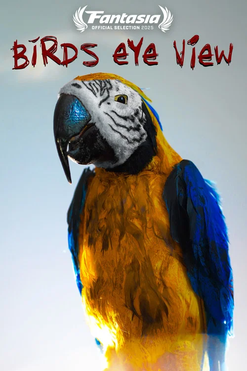 Bird's Eye View постер
