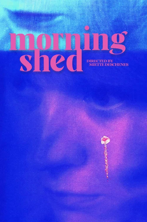 morningshed постер