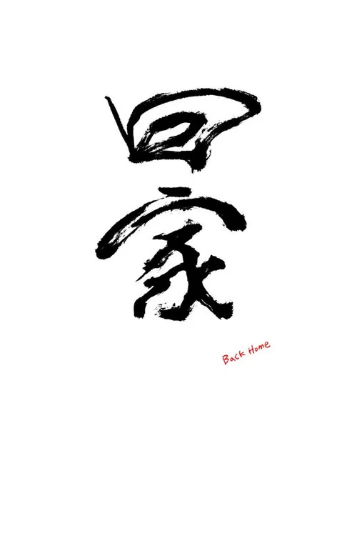 回家 постер