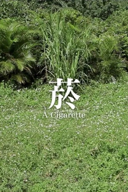 菸 постер