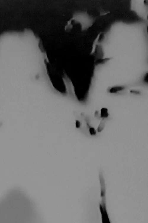 Witches Walk Monochrome постер