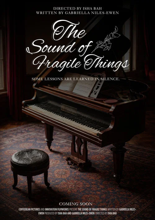 The Sound of Fragile Things постер