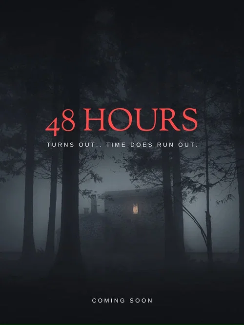 48 Hours постер