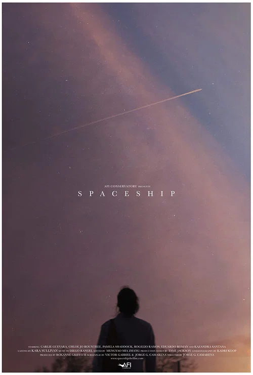 Spaceship постер