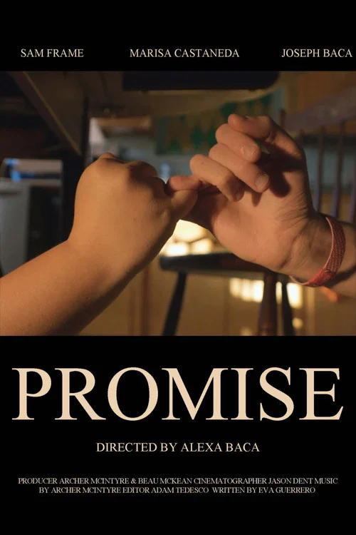 Promise постер