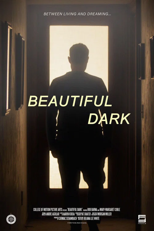 Beautiful Dark постер
