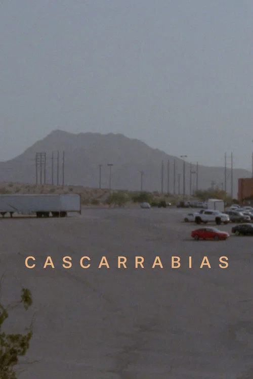 Cascarrabias постер
