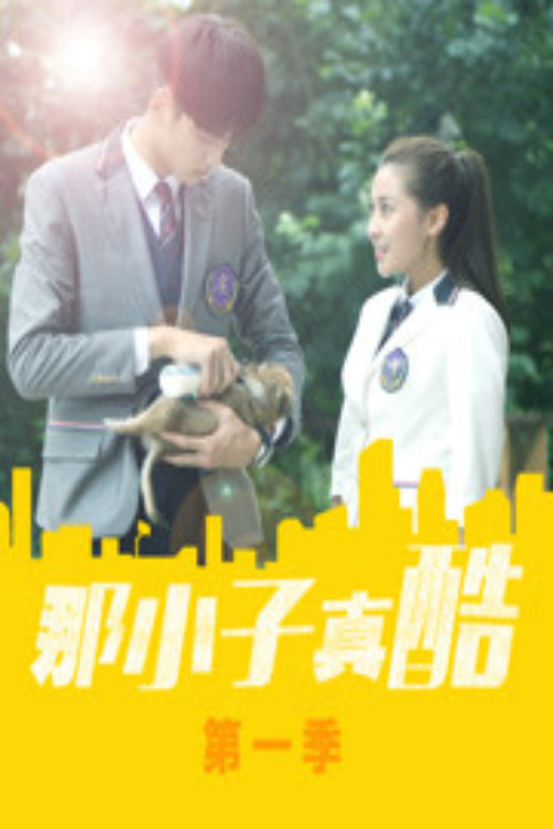 那小子真酷 постер