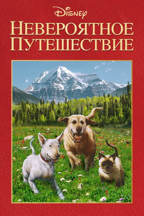 Невероятное путешествие постер