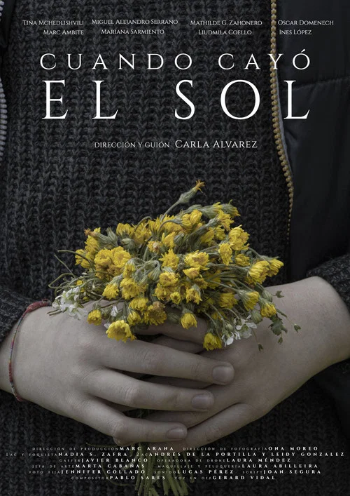 Cuando cayó el sol постер
