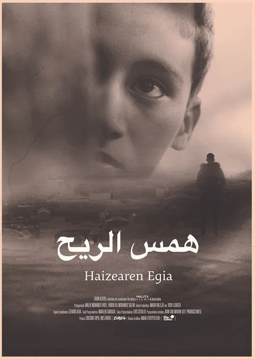 Haizearen egia постер