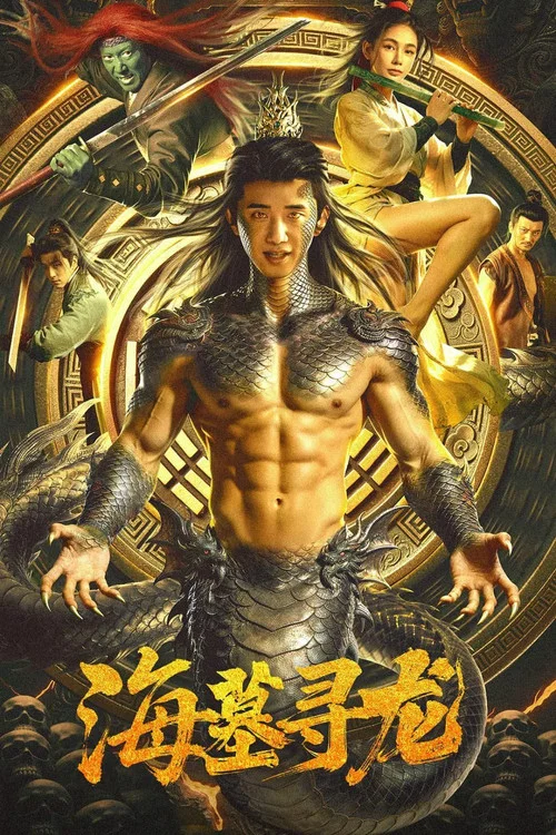 海墓寻龙 постер