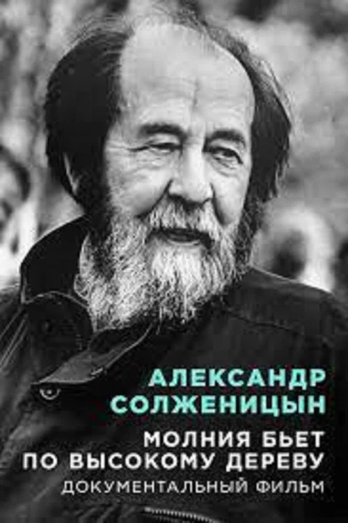 Молния бьет по высокому дереву постер