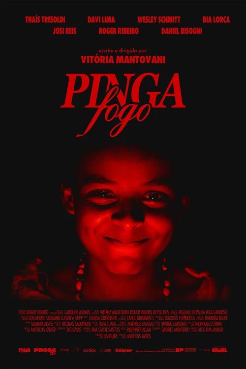 Pinga Fogo постер