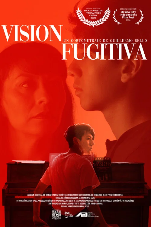 Visión Fugitiva постер