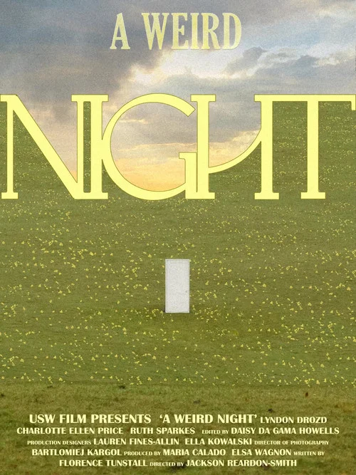 A Weird Night постер