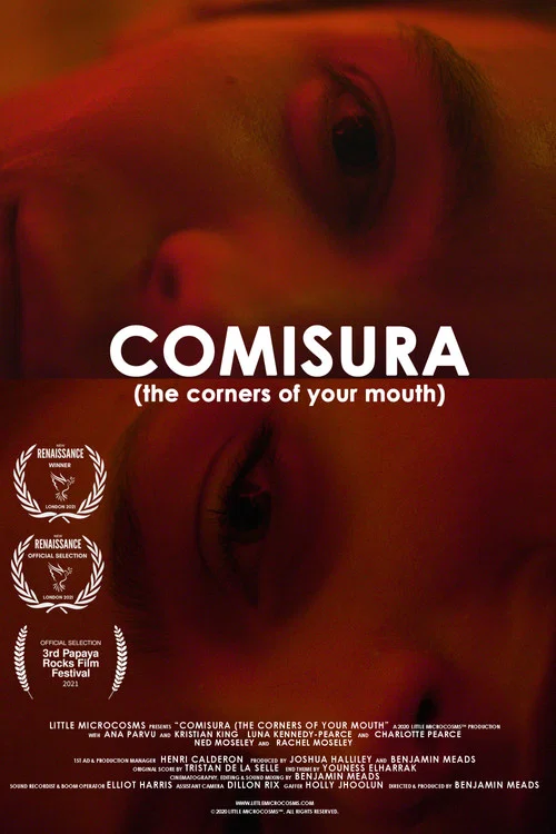 Comisura (The Corners of Your Mouth) постер