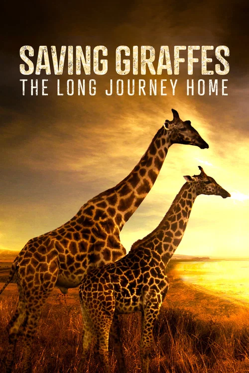 Saving Giraffes: The Long Journey Home постер